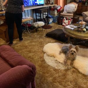 Meet your Posher, Helena